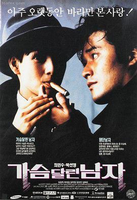顶楼的大象高清在线观看